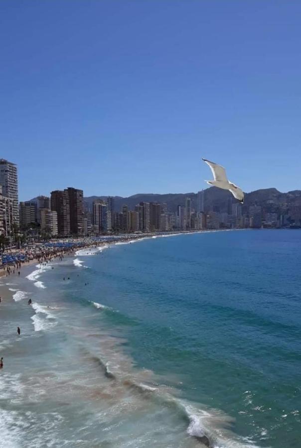 San Remo Levante Beach Apartments Benidorm Esterno foto